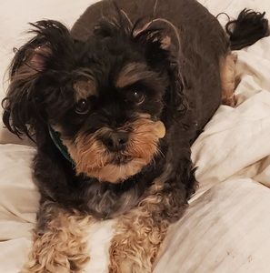 Meet your Posher, Marion